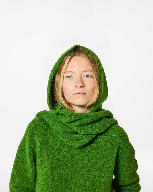 Baby Hood - HomeCore