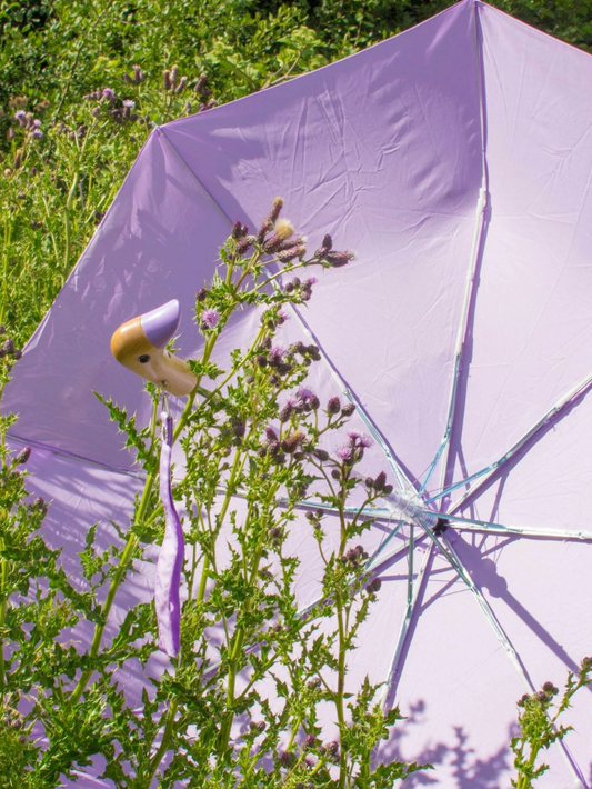 Parapluie Lilas - Original Dunckhead